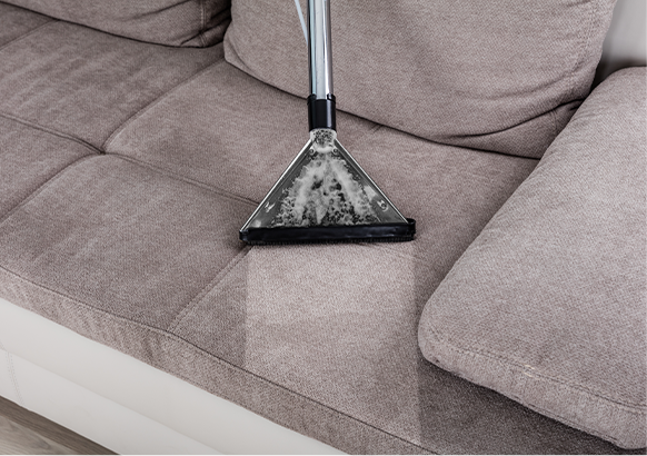 Sofa Cleaning